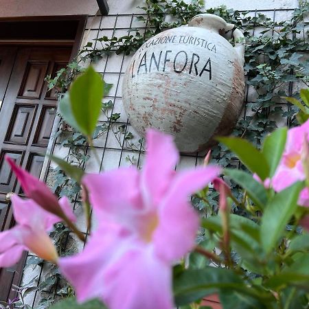 L' Anfora Locazione Turistica Apartment แตร์นี ภายนอก รูปภาพ